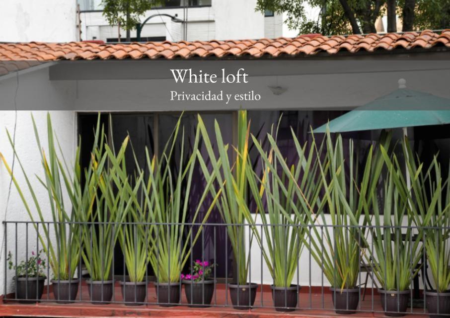 Singular Goldsmith Hotell Mexico City Exteriör bild